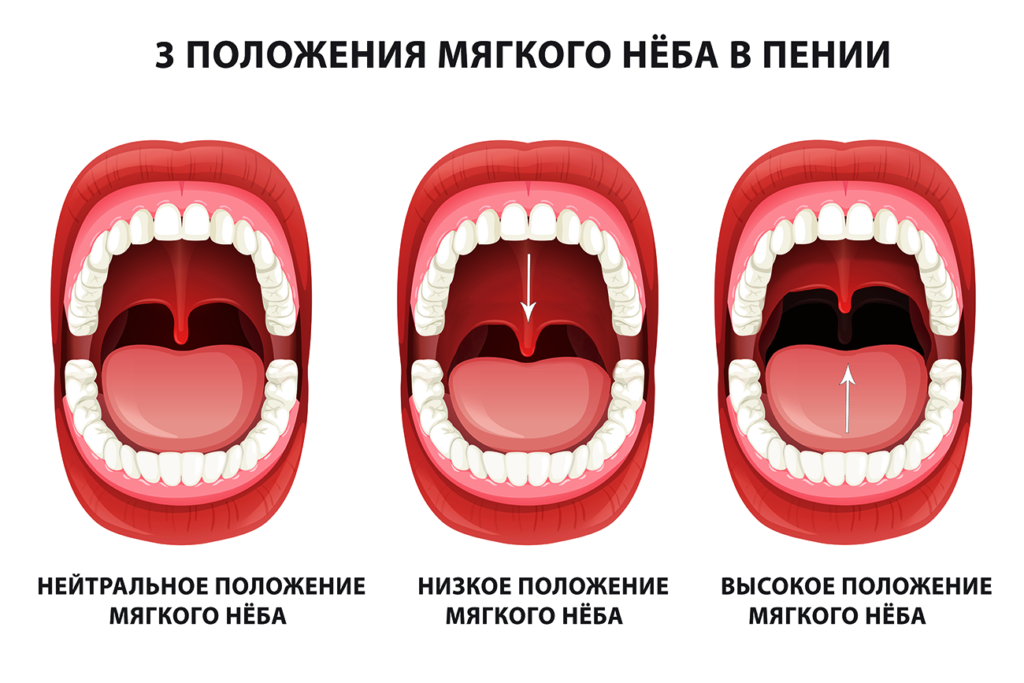 Как правильно открывать рот. Положение языка при пении. Положение мягкого неба в вокале.